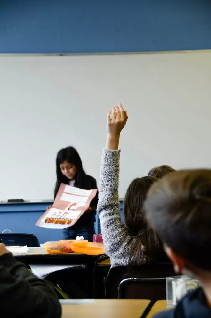 Trends and Practical Experiences in Bilingual Education