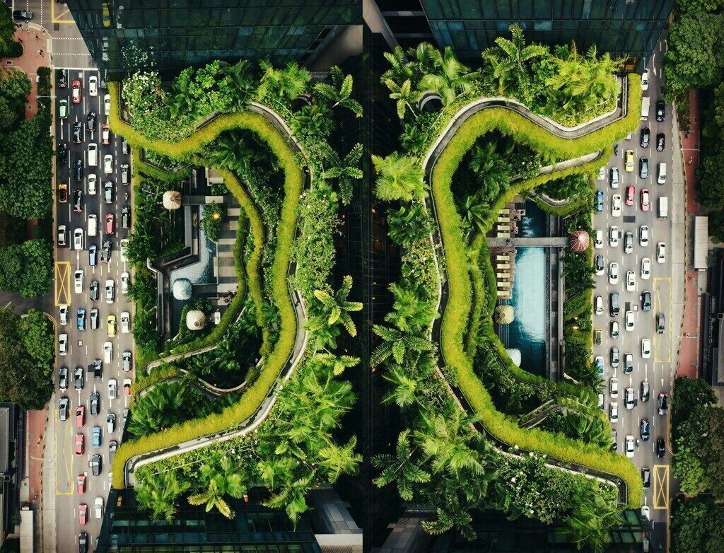 Green Tech Innovations: How Technology Is Driving Sustainability